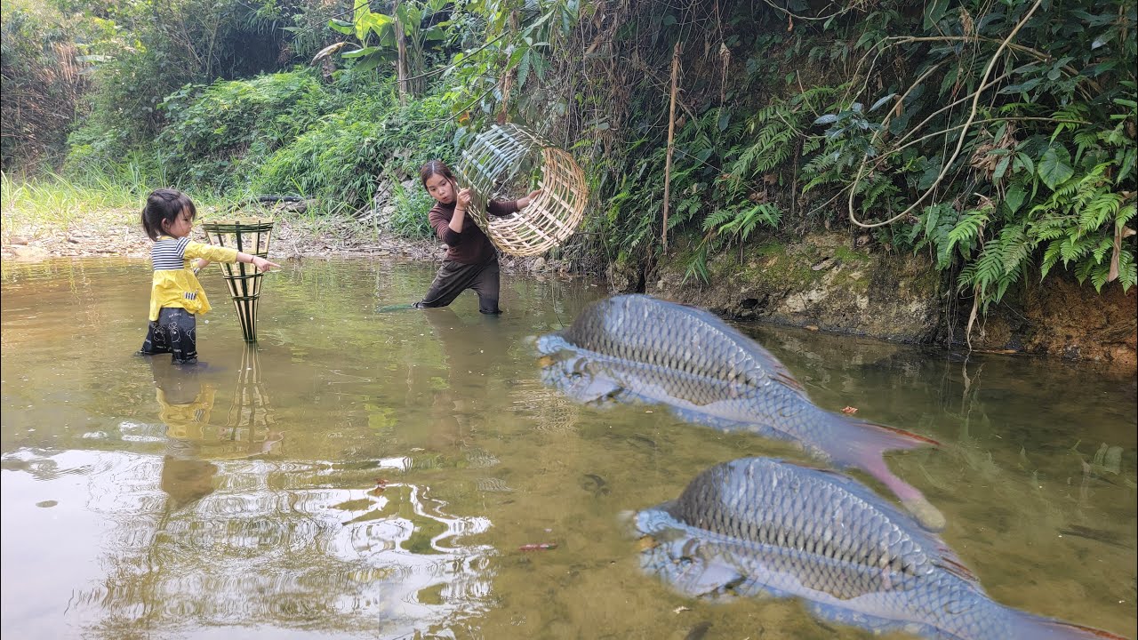 Meet a herd of giant fish reproduce in the puddle. Use bamboo to create ...