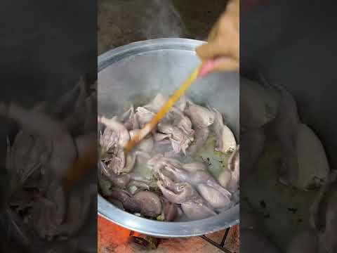 مجبوس طائر السمان الفري 