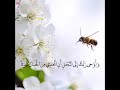 وديع اليمني وأوحي ربك إلي النحل أجمل حالات واتس اب دينية مقاطع دينية قصيرة مقاطع انستقرام دينية 
