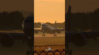 D-Aixc