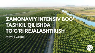 Zamonaviy intensiv bog' tashkil qilishda to'g'ri rejalashtirish