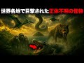 世界各地で目撃された正体不明の怪物【9月総集編】