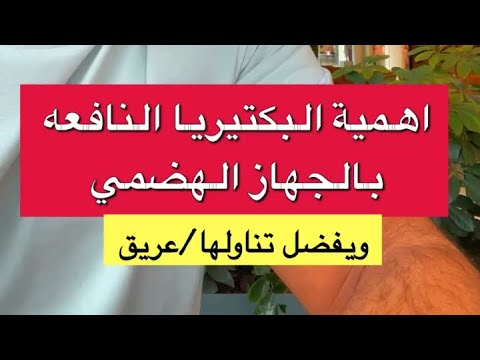 بوضاري اهمية البكتيريا النافعة بالجسم