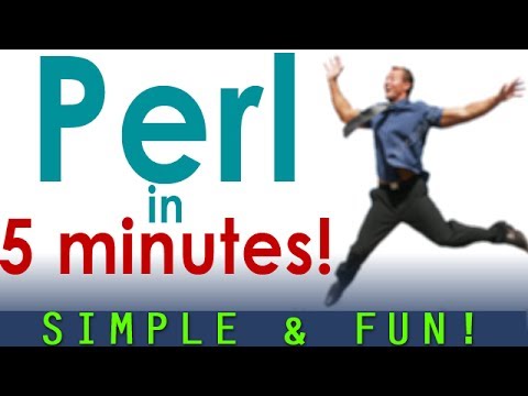How to create your first PERL script in 5 minutes! Energetic presentation!