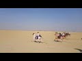 Jaisalmer  rawal horse race 3112018 india fastest rawal horse taki