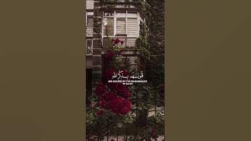 { الذين آمنوا وتطمئن قلوبهم بذكر الله ألا بذكر الله تطمئن القلوب }    #سورة_الرعد