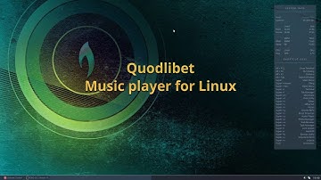 Quodlibet music player review and demo
