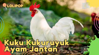 ✅ LAGU KUKU KUKURUYUK BEGITULAH BUNYINYA | LAGU ANAK KECIL