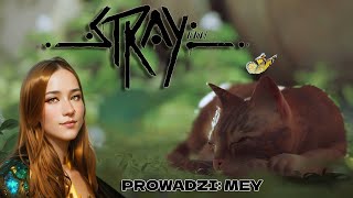 Stray#18 Udało się uwolniliśmy miasto, ZAKOŃCZENIE, Gameplay PL