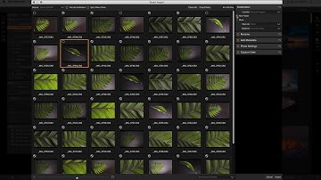 Easily Import Your Photos – ON1 Photo RAW