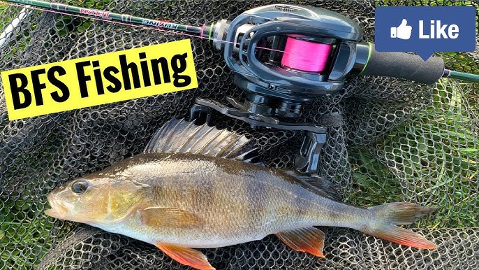 How To Tune A BFS Baitcasting Reel For Perfect Casting 