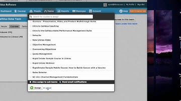 Litmos "Love your LMS": Experience the world