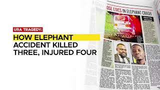 In the New Vision May 26, 2026