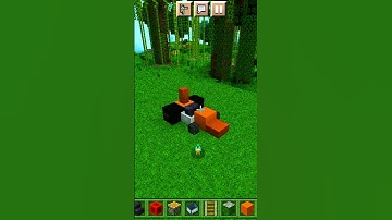 Racing Car In Minecraft.(Build Hack) #minecraft #shorts