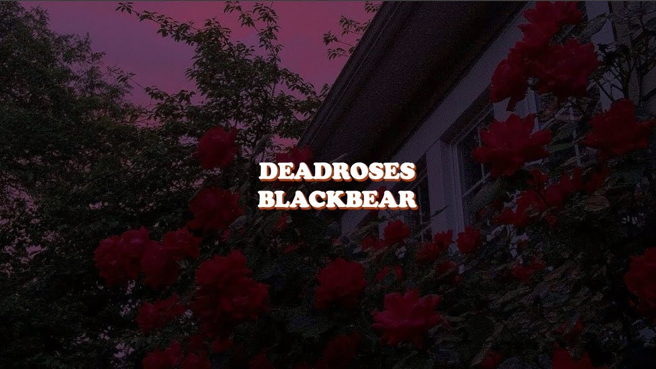 deadrosesblackbear [lyrics] YouTube