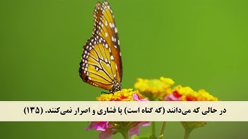 جز 4 ( سوره آل عمران از آیه 133 تا 140 ) با ترجمه فارسی صوتی و تصویری