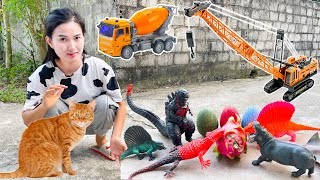 Changcady looking for animals that eat dragon fruit - kittens help find dinosaur, gozilla #119