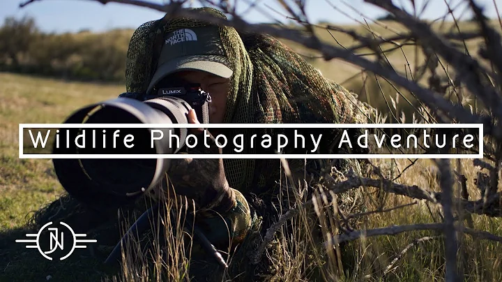 WILDLIFE PHOTOGRAPHY ADVENTURE | An Epic Encounter with Sagebrush Sparrow at the Panoche Hills