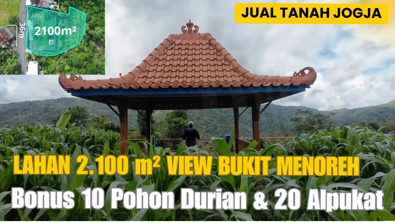EPS 580 JUAL TANAH JOGJA LUAS 2.100m² VIEW BUKIT MENOREH SHM PEKARANGAN COCOK UNTUK VILLA & HOMESTAY