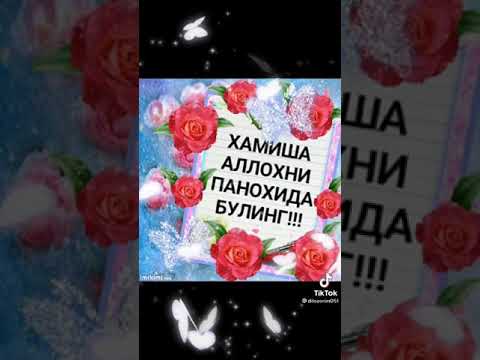 ЯНА  БИР  ЯНГИ  ТОНГ         МУБОРАК  🌹🌷🌹🌷🌹🙏