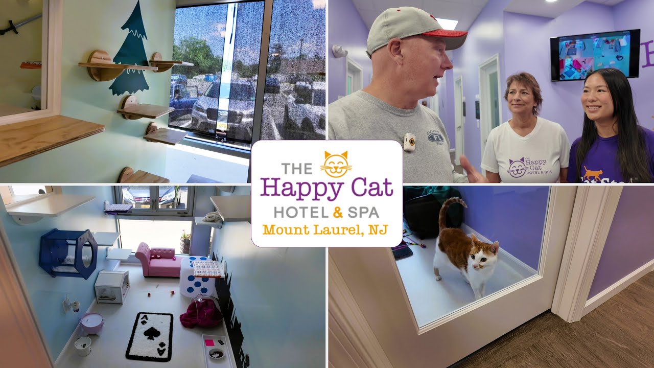 Отель и спа-центр Happy Cat Hotel & Spa в Маунт-Лорел. Идеальное роскошное место отдыха для вашей...