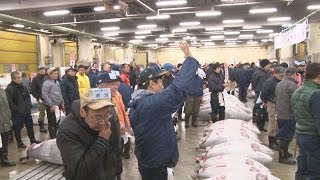 マグロ１本７３６万円 大間産、築地で初競り Tuna fetches 7.4 mil. yen at Tokyo auction