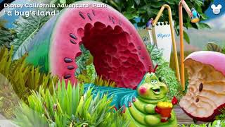 Swipe Tour The Disneyland Explorer App