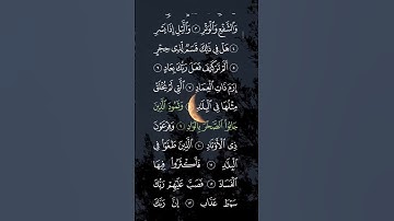#ماهر_المعيقلي #سورة_الفجر