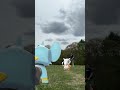 Pokémon Battle - Cubone and Shinx #pokemon #videogames