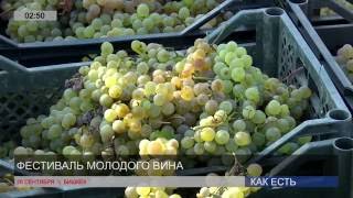 Фестиваль молодого вина в Бишкеке Archi Fest (29.09.2016) Фестиваль молодого вина в Бишкеке Archi Fest (29.09.2016)