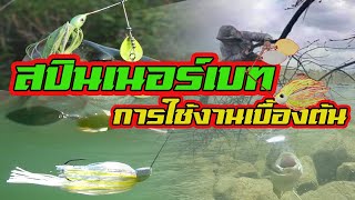 สปินเนอร์เบท | การใช้งานเบื้องต้น |