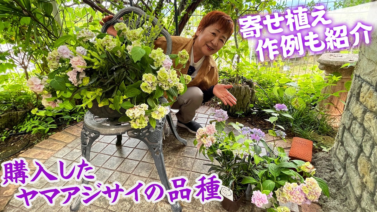 No72 abc商品三角屋根のFLOWERS and GARDEN 4段 Part-Shade Container Garden] Beautiful Japanese Mountain