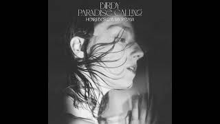 Birdy - Paradise Calling (Henri Bergmann Remix)