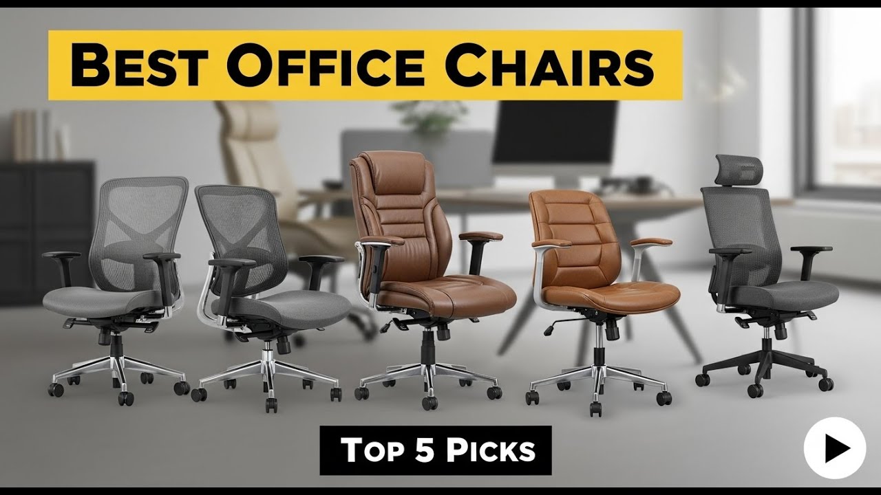 Top 5 Best Office Chairs