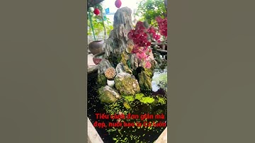 Tiểu cảnh non bộ đơn giản nhưng khá đẹp