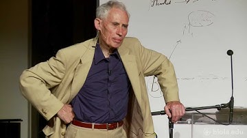 Richard Swinburne: Implausibility of Physical Determinism Q&A