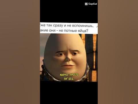 Йако 🫡🫡🫡🫡 #йайко - YouTube