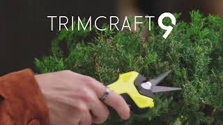 🌿 TrimCraft9 is a Winner at the @ClioAwards! 🥉