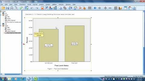 Week 5: How to Produce Simple Bar and Pie Charts Using SPSS