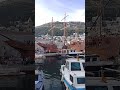 Old Port Dubrovnik Croatia #europetravel #travel #tour #gameofthrones #dubrovnik #croatia #europe