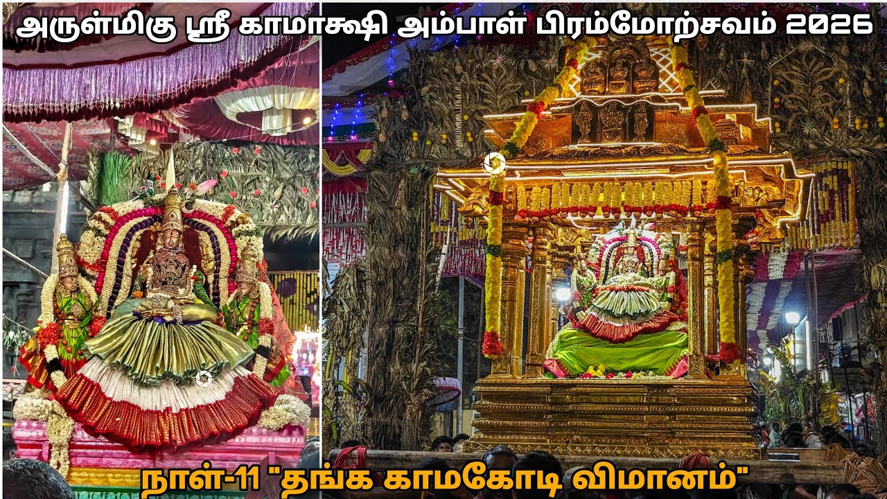 நாள்-11 இரவு 