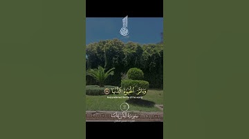 تلاوة خاشعة ارح قلبك #اكسبلور #لايك  #راحة_نفسية  #قرآن  #اسلام  #لايك  #موعظة