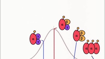 An introduction to the Search Engine for Multi Proteoform Complexes