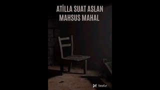 Atilla Suat Aslan - Mahsus Mahal Resimi