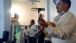 entretus manos por mariachi tierra caliente de mexicali.MP4