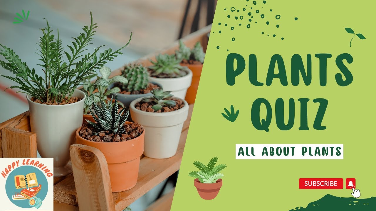 PLANTS QUIZ/ALL ABOUT PLANTS YouTube