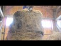 Hay jumping  new olympic canine sport