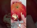 野薔薇ちゃん、彫りました🍎#釘崎野薔薇#呪術廻戦