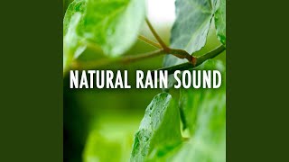Babies Sleep Rain - Sound Library XL