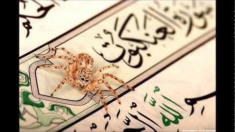 سورة العنكبوت للقارئ أحمد العجمي Surat Al Ankaboot(the spider) alajmi